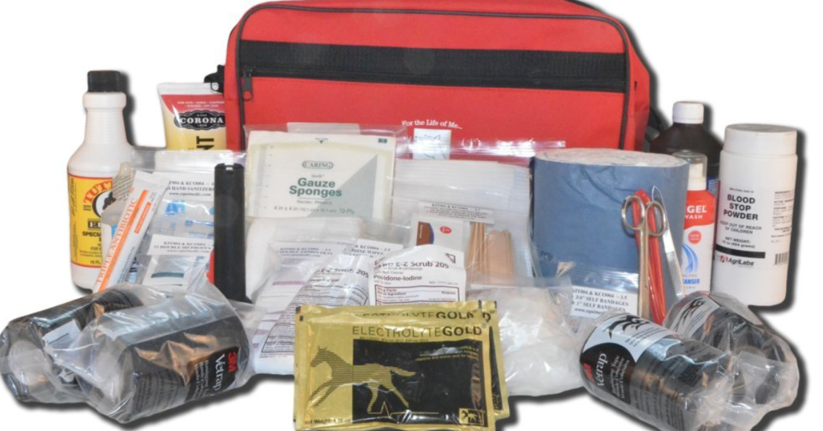 horse travel first aid kit